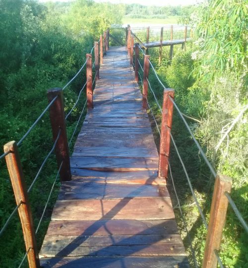 biosfera (3)